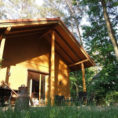 Wald Und Wohlsein Villa Beelitz Exteriör bild